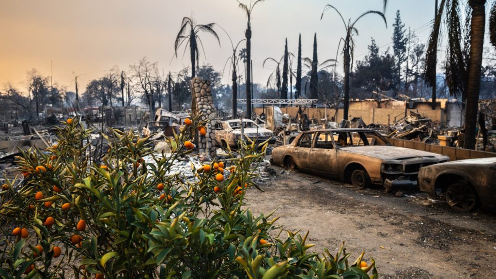 California wildfire victims may qualify for one-time 0 FEMA payment