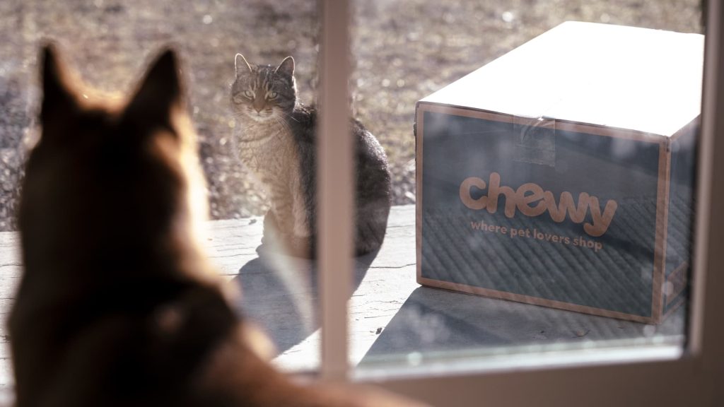 Stocks making the biggest moves midday: OKLO, CHWY, QUBT, GTLB