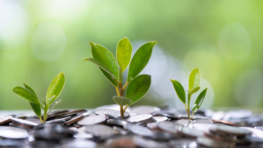 5 secrets to successful dividend investing