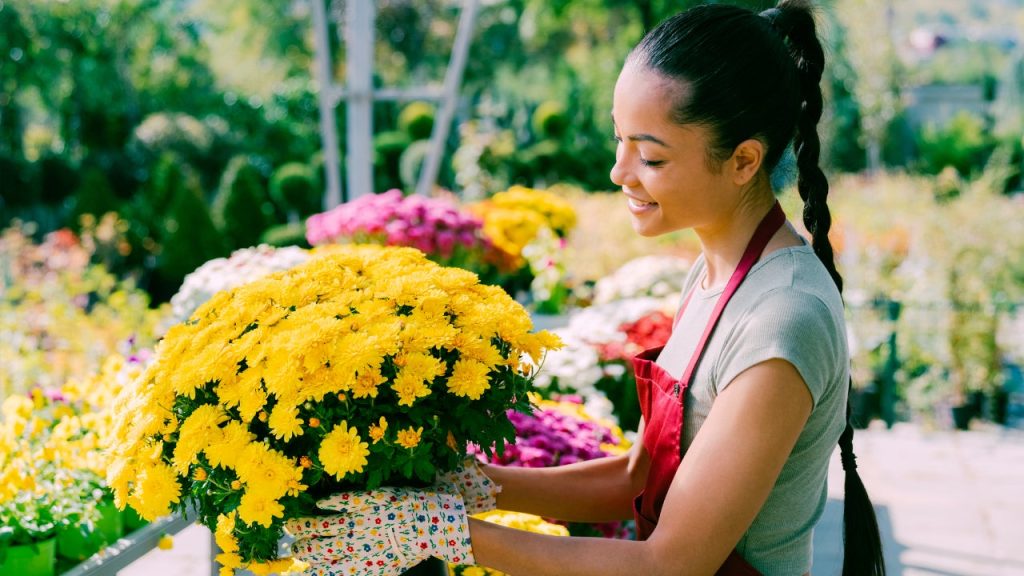 Farm loans: Everything you need to know