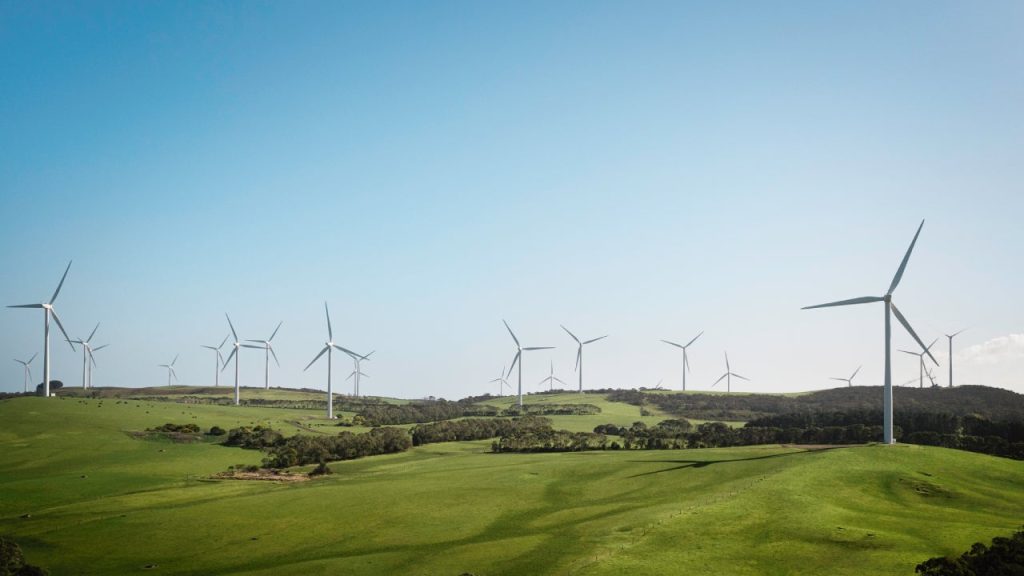 What are green stocks?