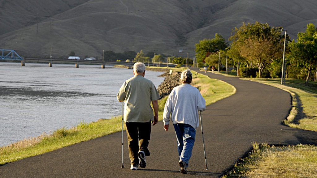 Annuity vs. IRA: What’s the difference?