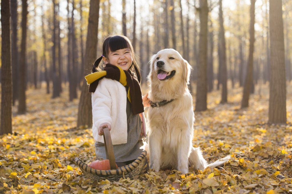 The Best (and Cheapest) Autumn Activities in Your State