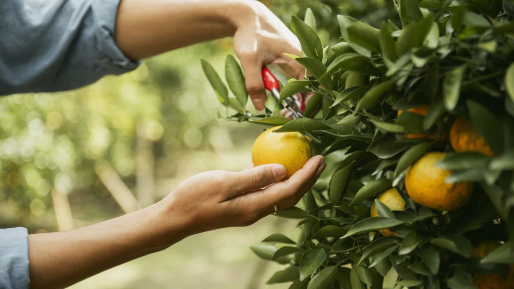 You can still use the 0% capital gains bracket for 2025 You can still use the 0% capital gains bracket for 2025