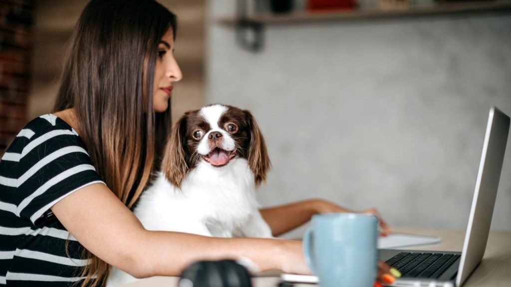 Micro-investing: What it is and how to get started