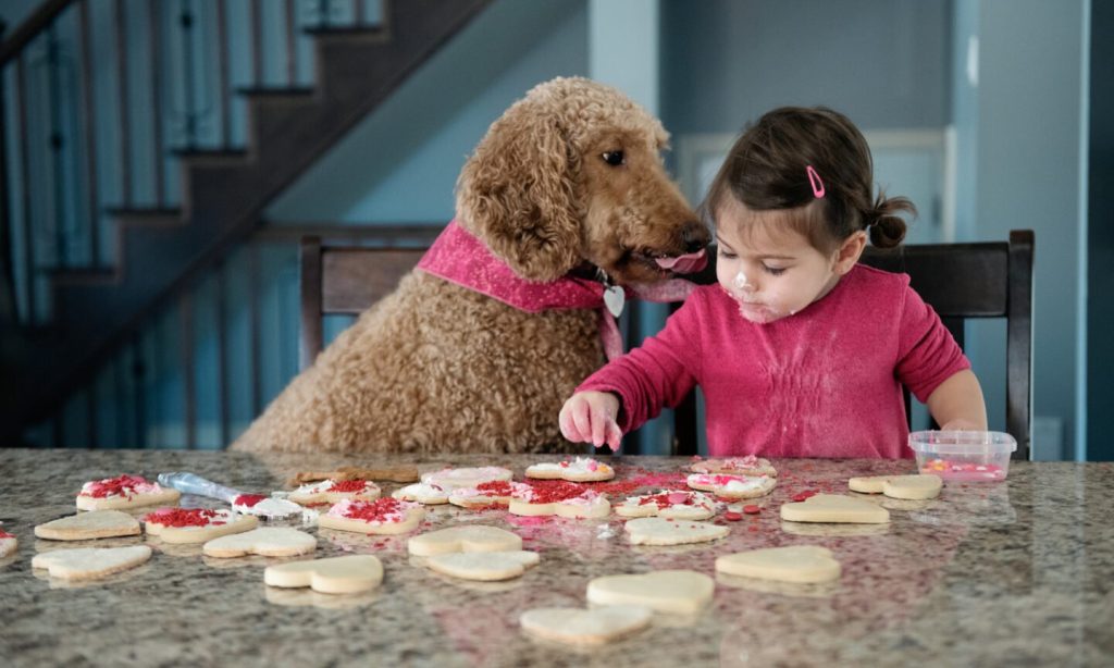 Weekly Mortgage Rates Remain Steady Near 6%